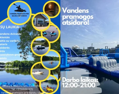vaizdas