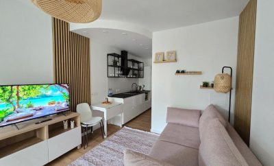 Trumpalaikė apartamentų nuoma Palangoje, Vanagupės g. 13
