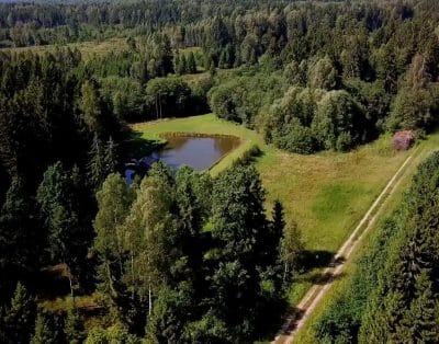 Atokus ir unikalus namelis miške | Miško Rojus