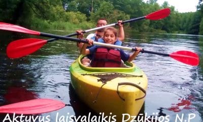 Kaimo turizmo sodybos nuoma Druskininkuose miške  prie ežero su pramogomis – „Dzūkijos uoga”