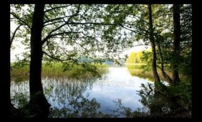 „Medaus pirtelė” Trakų rajone prie ežero Skaistis