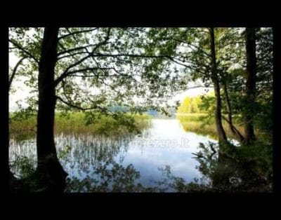 „Medaus pirtelė” Trakų rajone prie ežero Skaistis