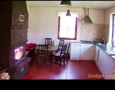 Gražios sodybos poilsiui nuoma Lietuvoje – Dzūkijos uoga