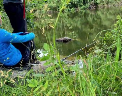 žvejyba prie ežero | Timelapse