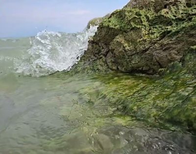 Poilsis Italijoje prie Gardos ežero