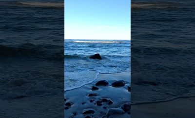 🎧 Raminantis Jūros Bangų Garsas Atpalaiduoja #gamta #nature #jūra #jūrosgarsai #sea #seasound