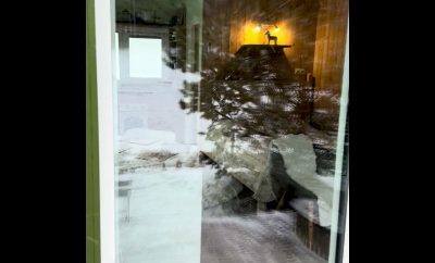 Pušų namelio kaimynai Alantos žirgų sodyboje 💚🏡🐎