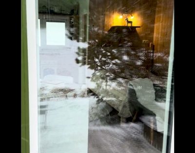 Pušų namelio kaimynai Alantos žirgų sodyboje 💚🏡🐎