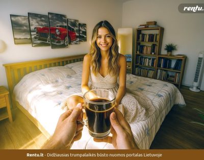 HOLIDAY Apartamentai – Trumpalaikė , ilgalaikė buto nuoma Visagine.