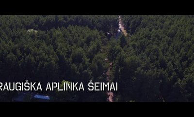 Undinė nameliai Šventojoje