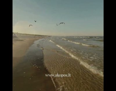 Nuostabus viešbutis prie pat jūros veikiantis visus metus – 4* viešbutis Auksinės Kopos Palanga