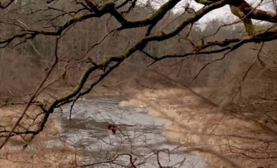 Mano istorija apie tai, kaip pasidavę tamsai ir rutinai, susipakavom daiktus, da…