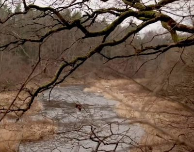 Mano istorija apie tai, kaip pasidavę tamsai ir rutinai, susipakavom daiktus, da…