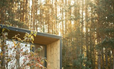 Ryto saulė lėtai slysta pro langus, o už jų – apšerkšniję medžiai. Ir nesvarbu, …