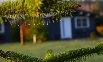 #kaimoturizmosodyba #kaimoturizmas #nameliunuoma #taurage #poilsis…