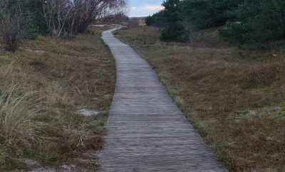 Šventiniai linkėjimai ir kvietimas į poilsį Šventojoje!
KOPŲ RAMYBĖ • A&E HOUS…