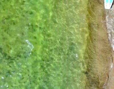 Dusios paplūdimys vasarą: poilsis ir pramogos prie ežero