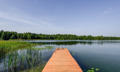 The Visitors #ežeras #prieezero #nameliunuoma #dziakuzi #poilsisgamtoje…