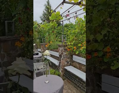 Sodyba vestuvėms gamtos apsuptyje | Terasos ir žydinčių gėlių grožis 🌸 #sodybosnuomavilniausrajone