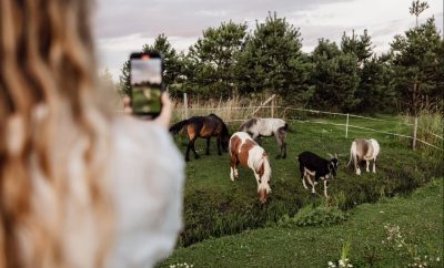 @alantoszirgai
@pokalbiu_gidas
@kotryna.bulavaite
@dovydenaite_
Tiems, kas dirb…