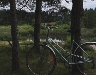 Danija yra puikiai žinoma kaip dviračių šalis – joje yra daugiau nei 12 milijonų…