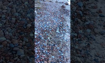 🎧 Gražus Akmenuotas Jūros Paplūdimys  #gamtosgarsai #gamta #nature #kelionės #jūra #jūrosgarsai