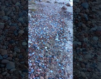 🎧 Gražus Akmenuotas Jūros Paplūdimys  #gamtosgarsai #gamta #nature #kelionės #jūra #jūrosgarsai