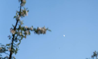 Vasara, pačiame gražiausiame savo žydėjime.
Kviečiame nerti į minkštus gamtos p…