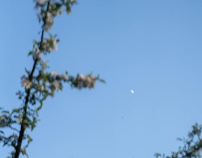 Vasara, pačiame gražiausiame savo žydėjime.
Kviečiame nerti į minkštus gamtos p…