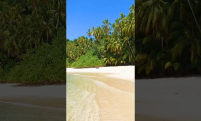 🎧 Atsipalaiduokite tropikų paplūdimyje, jūros garsai  #gamta #meditacija #nature #relaxation