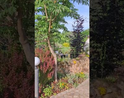 Sodybos grožis: ramybė, žalia ir autentiška #sodybavestuvems #naturvila #sodybosnuomavilniausrajone