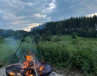 Ugniakuras gamtoje suteikia šviesos ir sušildo. Ugnies stebėjimas – ramina.
Rami…