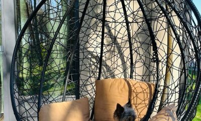 Būsimos atostogos gali suteikti daug džiaugsmo, tačiau galvojant apie malonią iš…