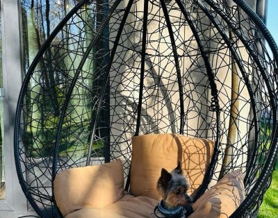 Būsimos atostogos gali suteikti daug džiaugsmo, tačiau galvojant apie malonią iš…