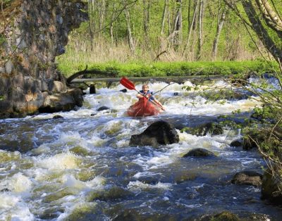 Vasara, kurią prisiminsi!
Plaukimas baidarėmis, karšta pirtis su šalto vandens b…