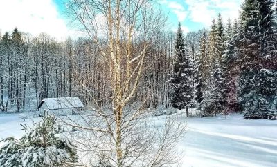 Norintiems pailsėti unikalios gamtos apsuptyje !
su kubilu , pirtele ir tik iki …