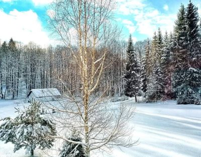 Norintiems pailsėti unikalios gamtos apsuptyje !
su kubilu , pirtele ir tik iki …