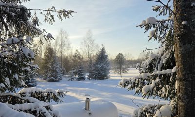 Laisvas namelis 30,31-01. 2-6asm. Taip pat yra laisvu savaitgaliu vasario menesi…