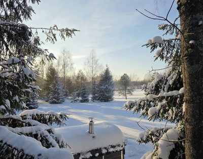 Laisvas namelis 30,31-01. 2-6asm. Taip pat yra laisvu savaitgaliu vasario menesi…