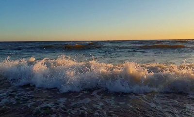 Jūros ošimas  #loveklaipeda