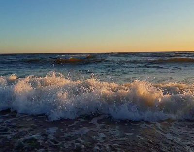 Jūros ošimas #loveklaipeda