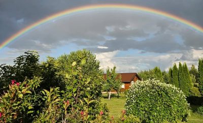 Po gaivaus vasariško penktadienio lietaus prasideda saulėtas savaitgalis
#sodyba…