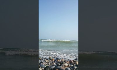 Viduržemio jūros ošimas