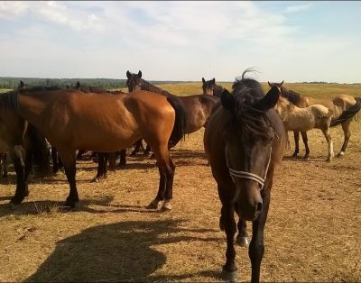 Akimirkos iš stovyklos prie Sartų ežero