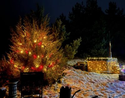 Nuomuojama sodyba prie Veisiejų rami vieta kaimynų nėra kaina nuo 200 iki 250 už…