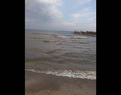 Šventoji Jūros ošimas.