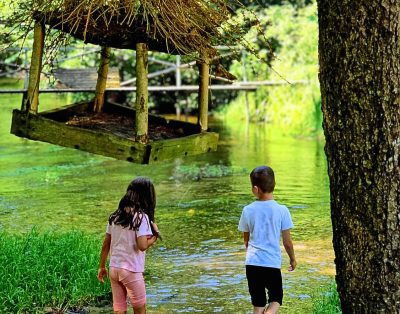 Planuojate poilsį su vaikais ir norisi, kad jis būtų ramus, saugus ir be streso?…