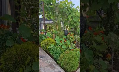 Sodybos terasa vestuvėms: elegantiška erdvė po atviru dangumi 🌿✨ #sodybavestuvems #naturvila