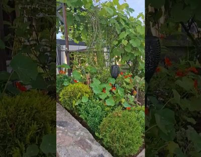 Sodybos terasa vestuvėms: elegantiška erdvė po atviru dangumi 🌿✨ #sodybavestuvems #naturvila