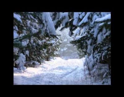 Bertašiūnų Vienkiemis prie Trikojo ežero